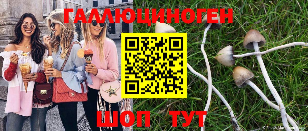 что такое наркотик  Вход с VPN  Татарск  Галлюциногенные грибы ЛСД 